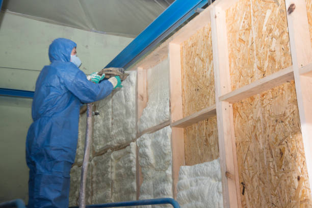 Trusted Robertsdale, AL Insulation Contractor Experts